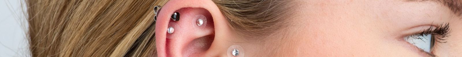 ear-seeding-ebook-acupips