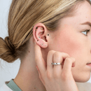 Rainbow Ear Seed Refill