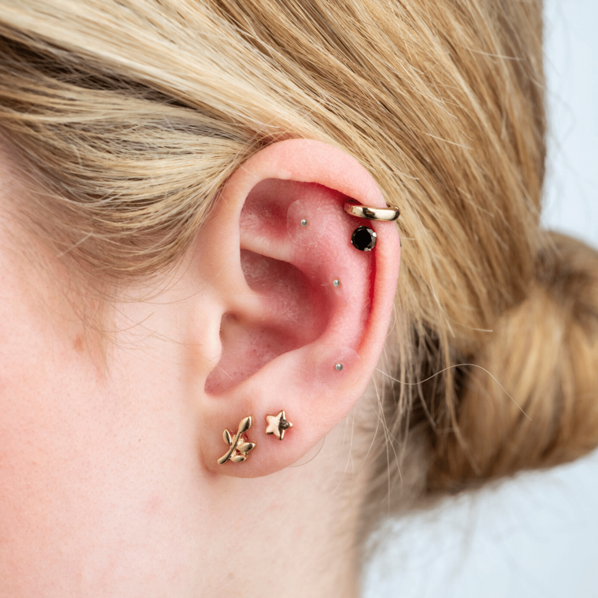 Silver Ear Seed Refill